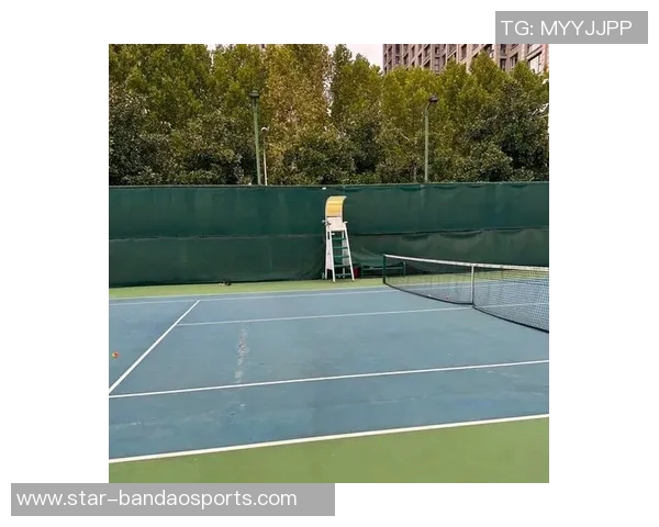 杨磊亲授网球技巧与心得助你提升球技的独特体验分享 杨磊亲授网球技巧与心得助你提升球技的独特体验分享