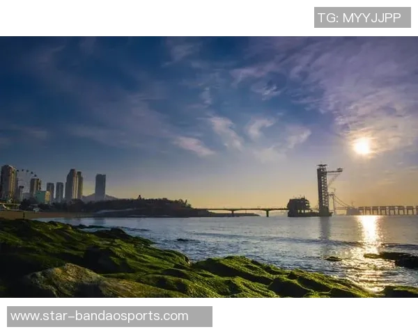 西安滑板队实力解析与对比分析探讨团队发展潜力与未来方向实时数据 西安滑板队实力解析与对比分析探讨团队发展潜力与未来方向实时数据