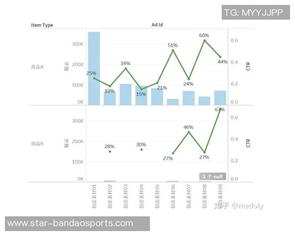 运动数据南京羽毛球队战术表现深度分析及数据解读探索