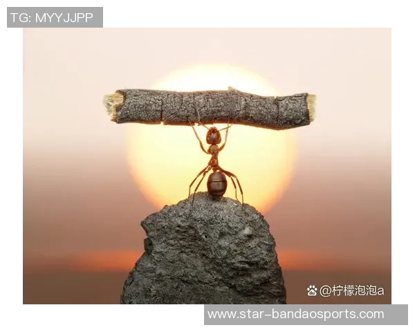 实时新闻攀岩人生的深度对话陈敏如何在挑战中找到自我与激情